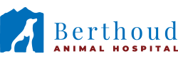 Berthoud Animal Hospital